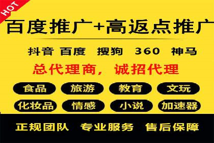 电商成功案例：竞价推广助力品牌崛起